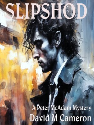 cover image of Slipshod